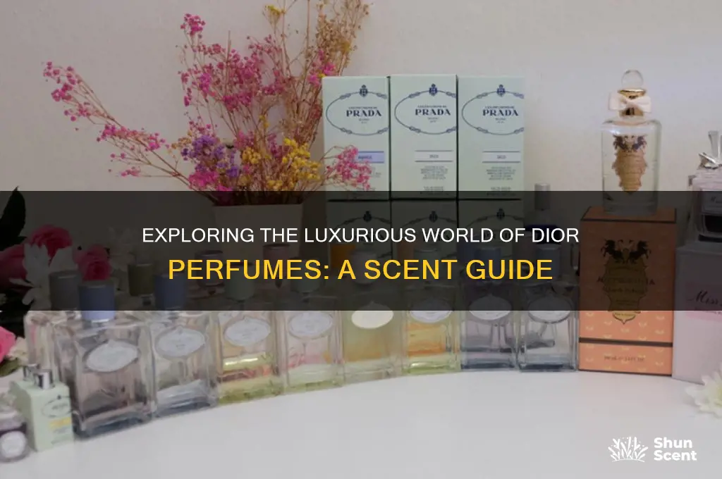 what are the dior perfumes