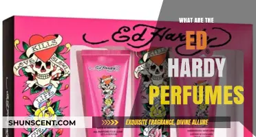 Exploring the Ed Hardy Perfume Collection: Scents, Styles, and Stories