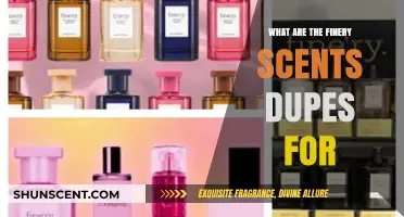 Discover Affordable Luxury: Top Finery Scents Dupes to Try
