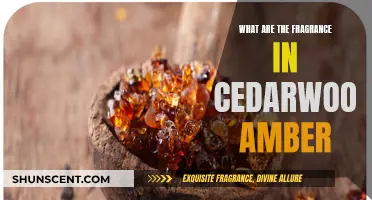 Cedarwood Amber: A Fragrant Blend of Nature's Gifts