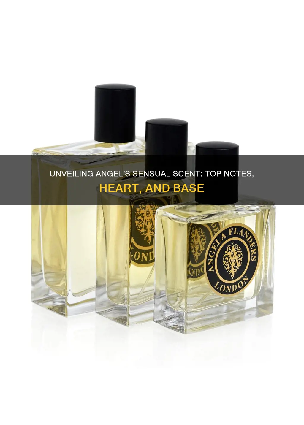 what are the fragrance notes in angel