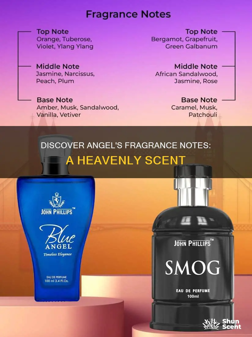 what are the fragrance notes in angel