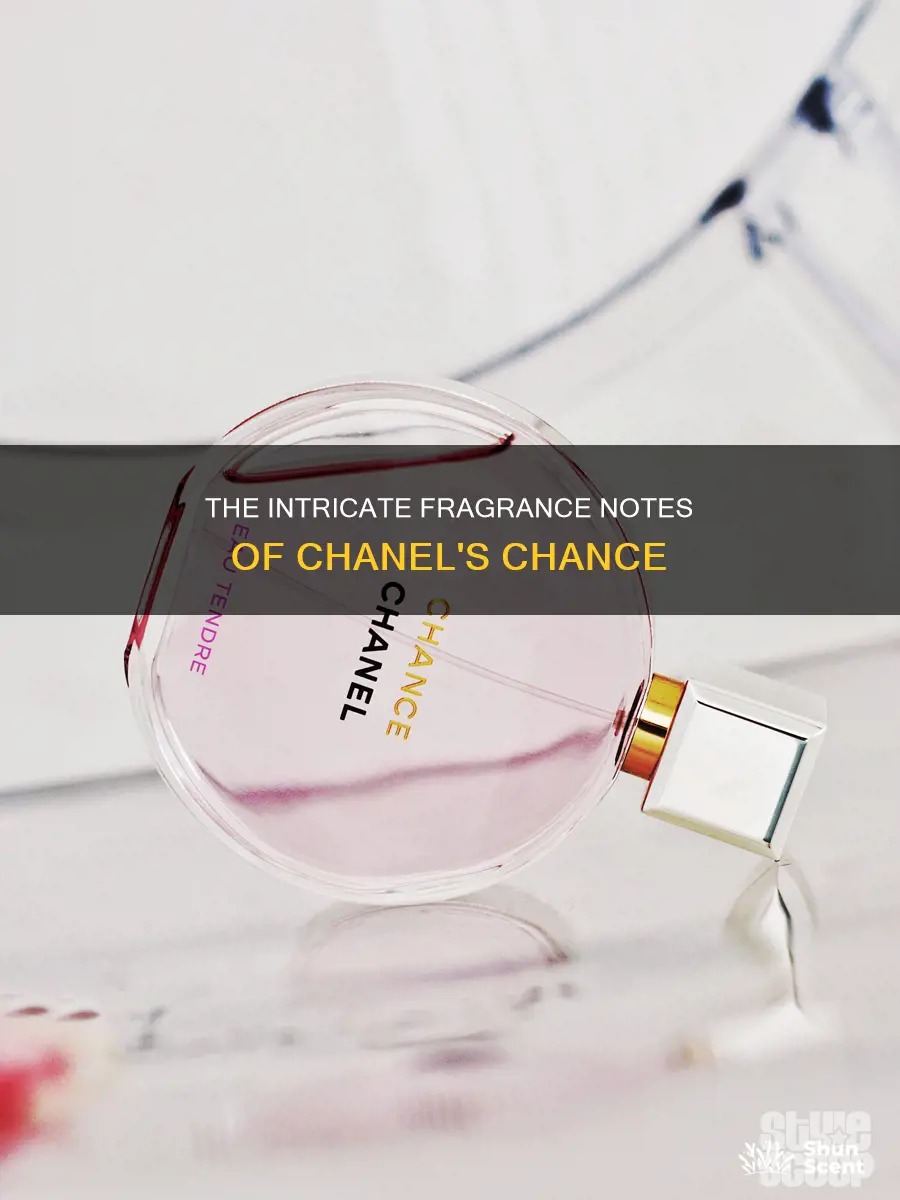 what are the fragrance notes in chance by chanel