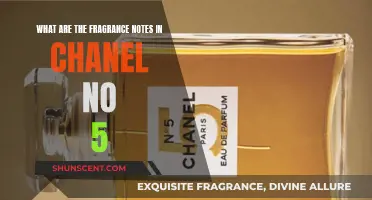 Unveiling Chanel No. 5's Timeless Fragrance Notes