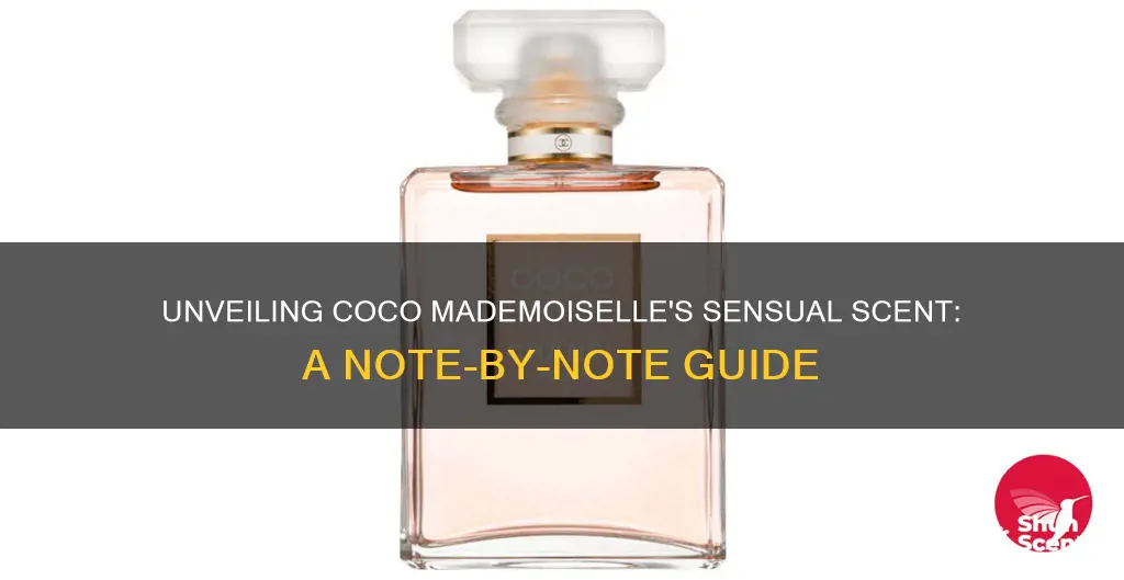 what are the fragrance notes in coco mademoiselle