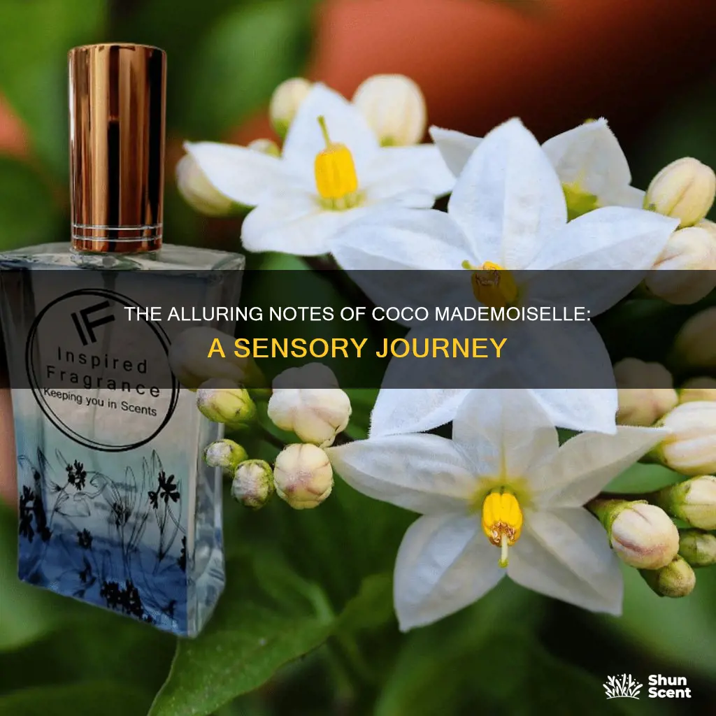 what are the fragrance notes in coco mademoiselle