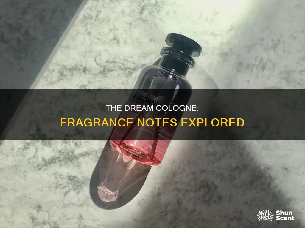 what are the fragrance notes in dream cologne by btighton