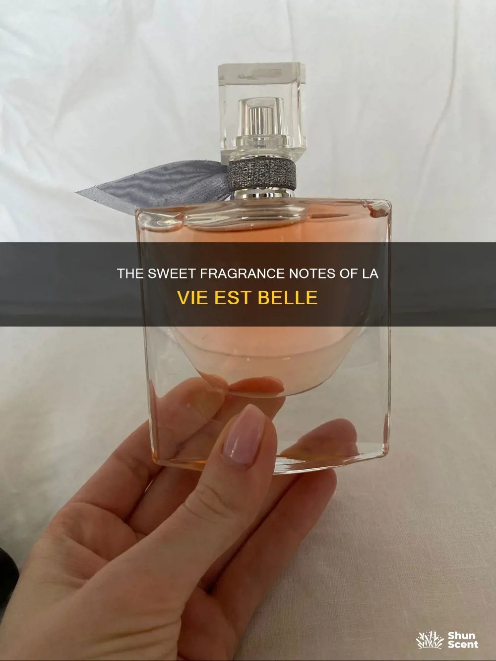 what are the fragrance notes in la vie est belle