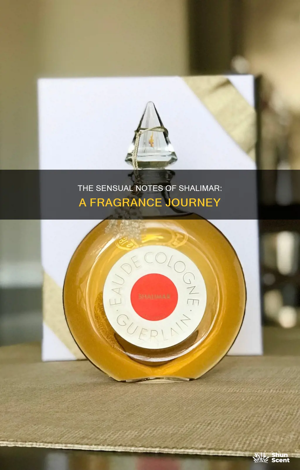 what are the fragrance notes in shalimar