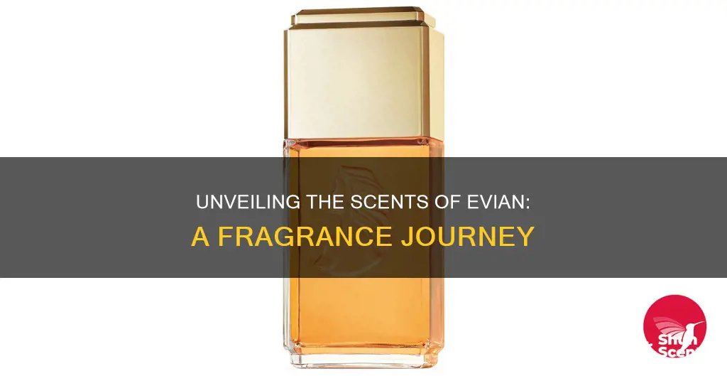 what are the fragrances evyan produced