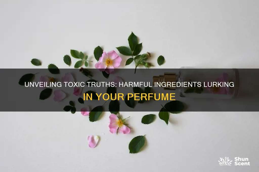 what are the harmful ingredients in perfume