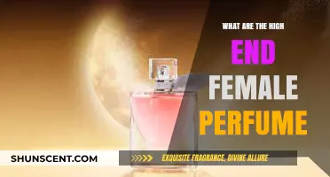 Luxurious Scents: Top High-End Perfumes for Women to Adore