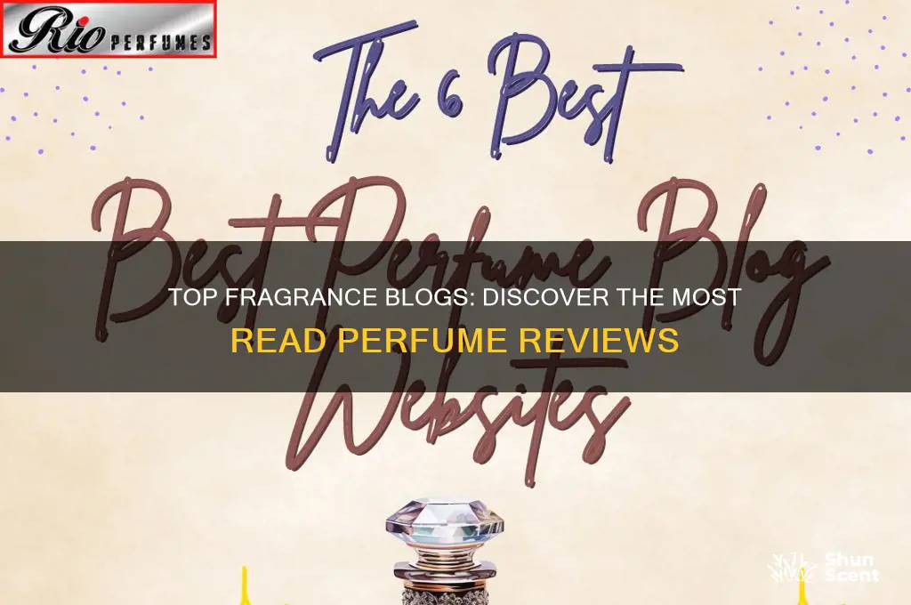 what are the highest read perfume blogs