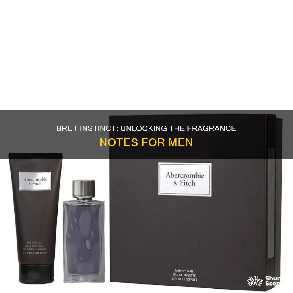 what are the ingredients in men