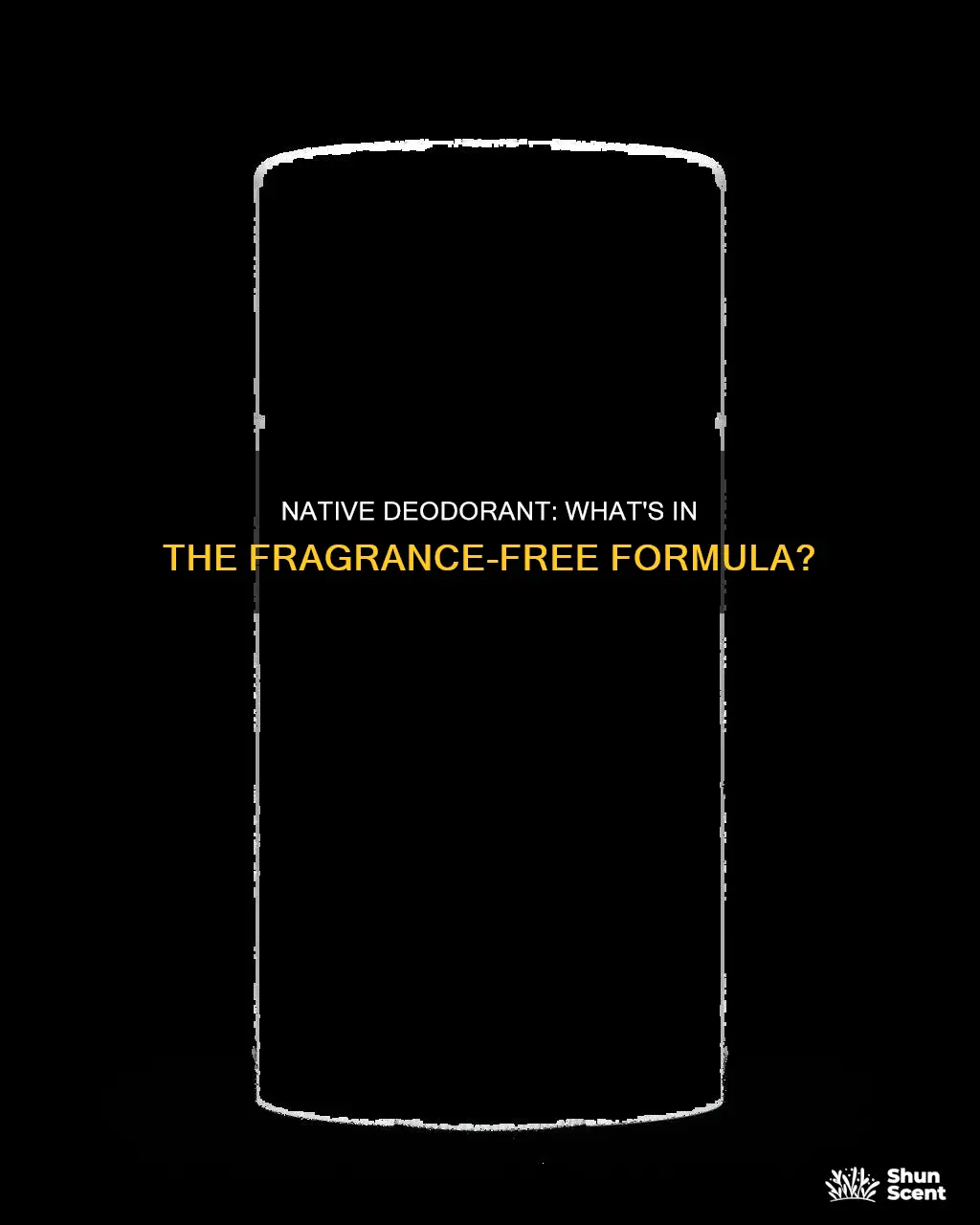 what are the ingredients in native deodorant fragrance-free