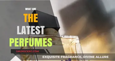 Discover the Latest Perfumes: Top Fragrances to Try Now