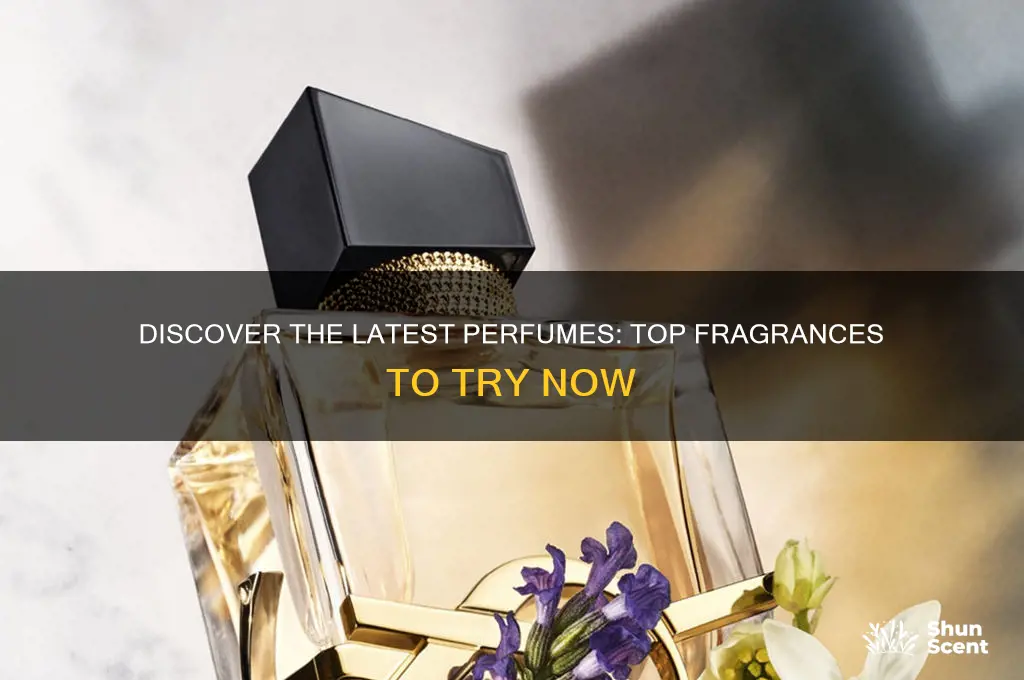 what are the latest perfumes