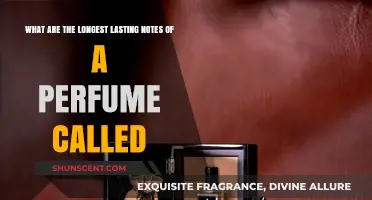 Unveiling the Secret: What Are the Longest-Lasting Perfume Notes?