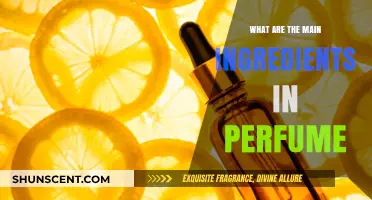 Unveiling the Key Ingredients That Compose Your Favorite Perfumes