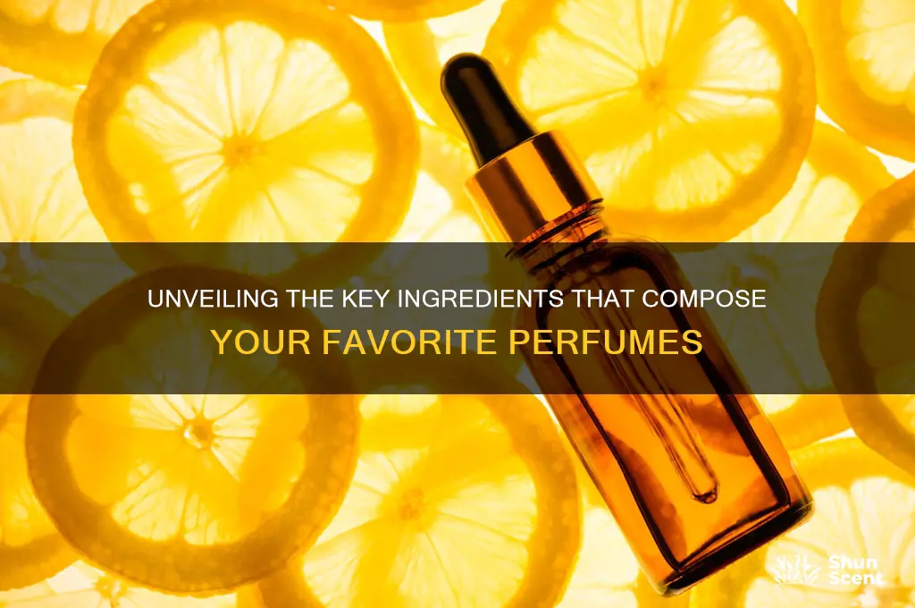 what are the main ingredients in perfume