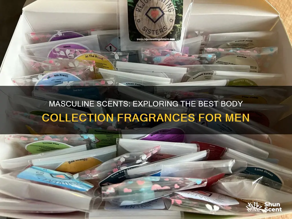 what are the masculine fragrances for scentsy body collection