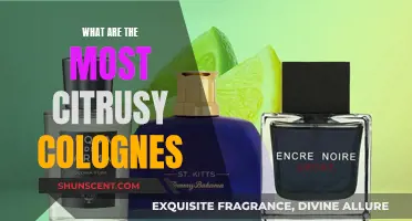 Citrus Splash: Zesty Colognes for Men