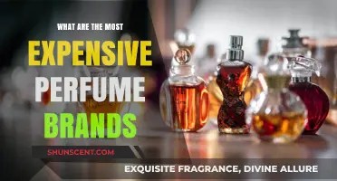 Luxurious Scents: Exploring the World's Priciest Perfume Brands