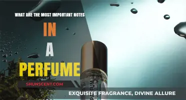Unveiling the Key Notes That Define a Perfume's Signature Scent