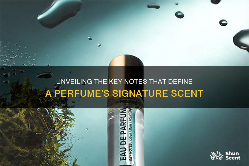 what are the most important notes in a perfume