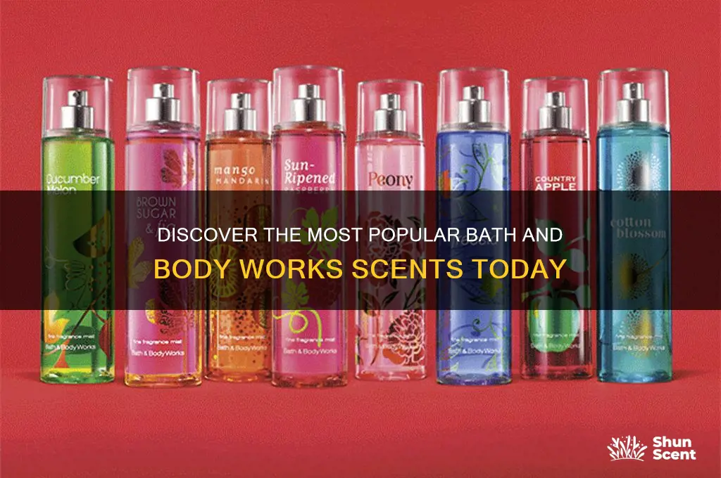 what are the most popular bath and body works scents
