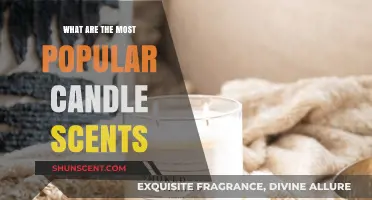Discover the Most Popular Candle Scents for a Cozy Home