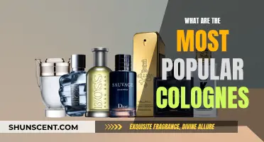 The Most Coveted Colognes: A Comprehensive Guide