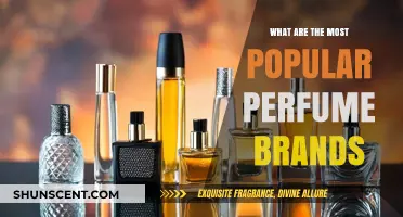 Discover the Top Perfume Brands Dominating the Fragrance Industry Today