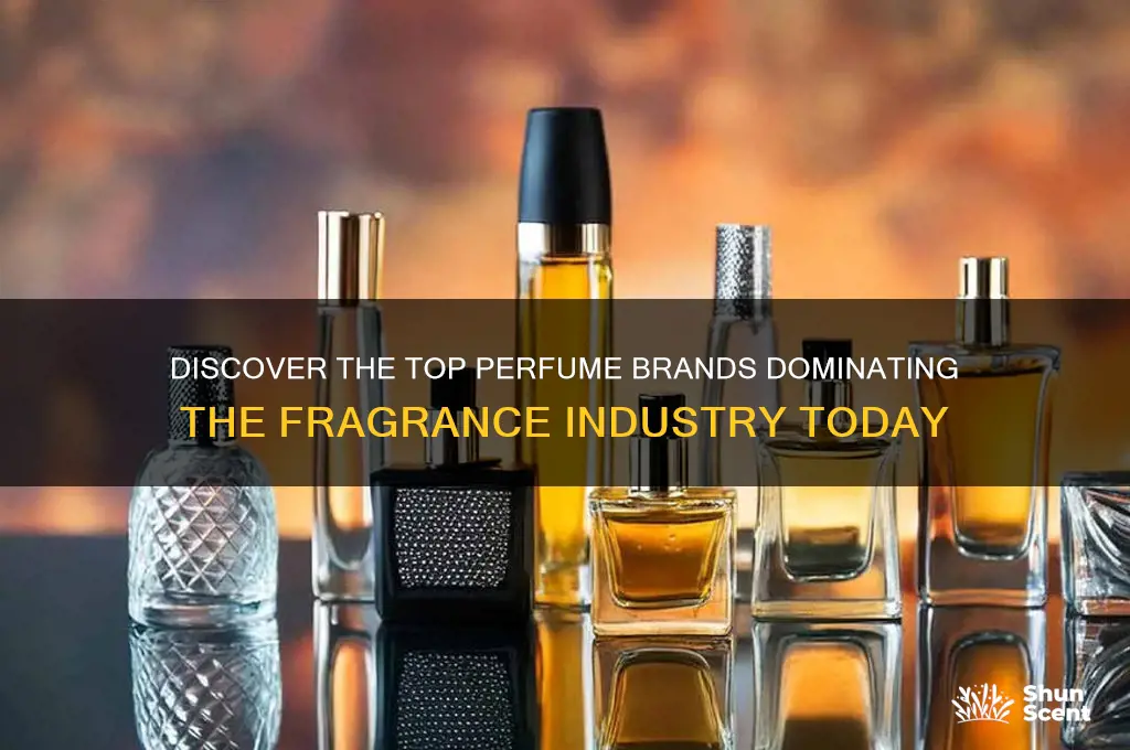 what are the most popular perfume brands