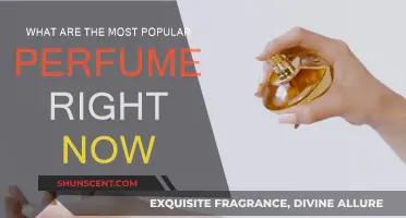 Trending Scents: Popular Perfumes for the Season
