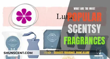 Scentsy's Top Fragrances: A Scent-sational Guide to the Hottest Scents