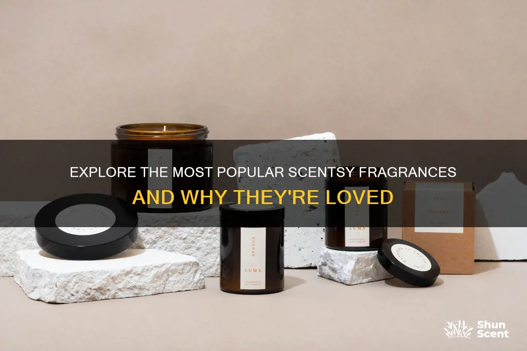 what are the most popular scentsy fragrances
