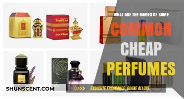Affordable Fragrances: Discover Popular Cheap Perfumes and Their Names