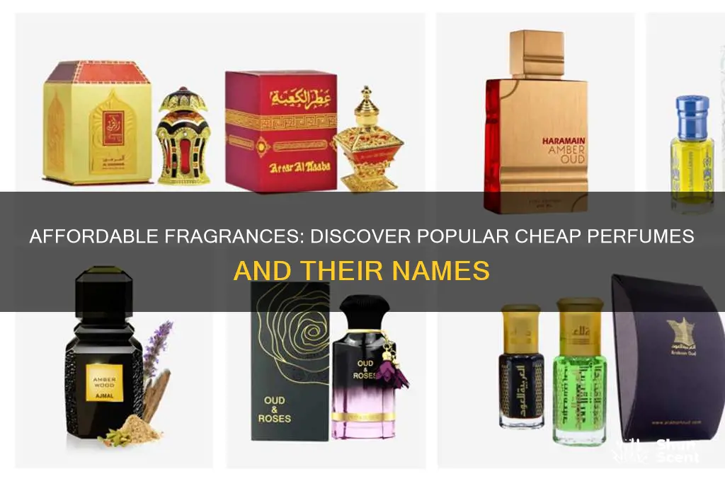 what are the names of some common cheap perfumes