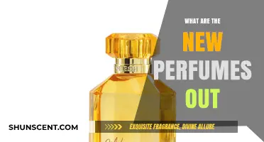 Discover the Latest Fragrances: New Perfumes to Try Now