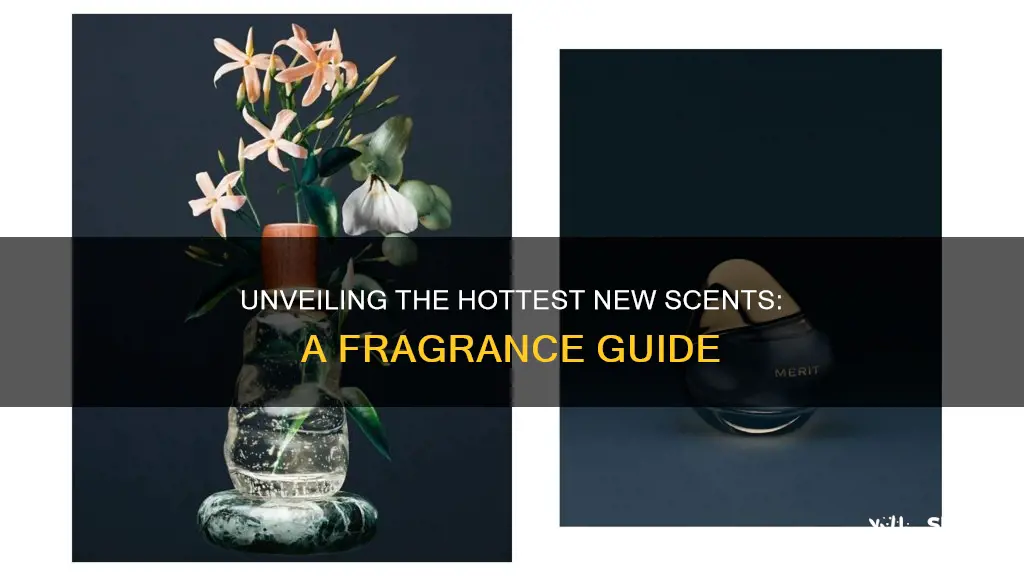 what are the newest fragrances