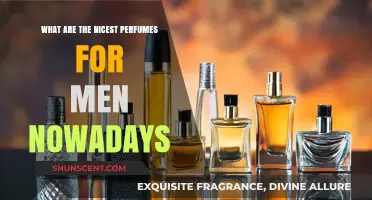 Top Sophisticated and Timeless Men's Perfumes to Elevate Your Style