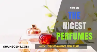 The Most Luxurious Scents: Our Favorite Perfumes