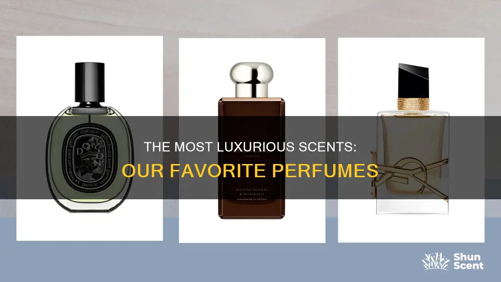 what are the nicest perfumes