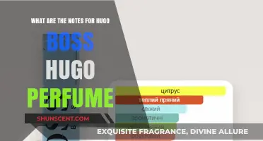 Hugo Boss Hugo Perfume Notes: A Comprehensive Guide to Its Scents