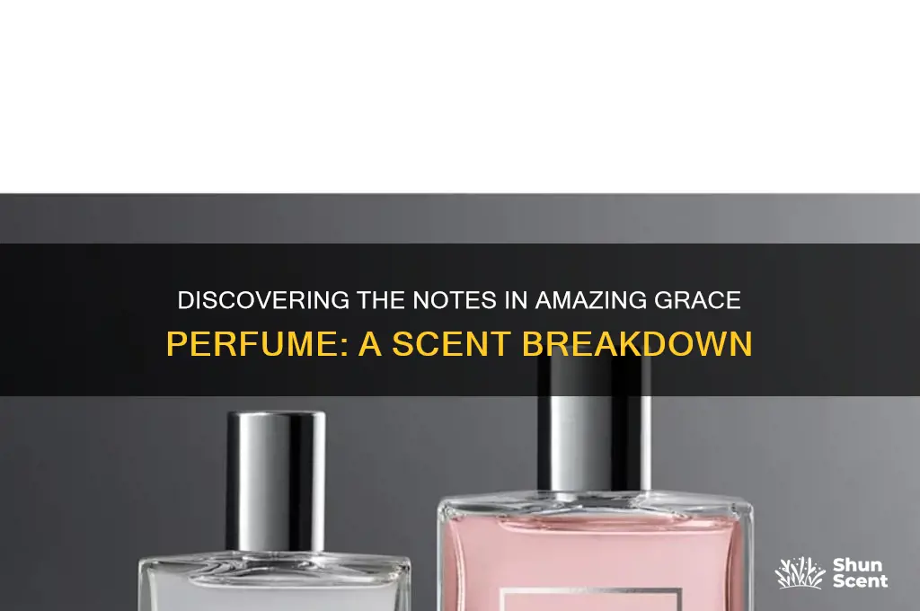 what are the notes in amazing grace perfume