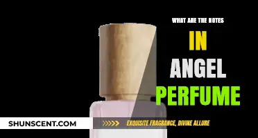 Discovering the Enchanting Notes in Angel Perfume: A Scent Breakdown