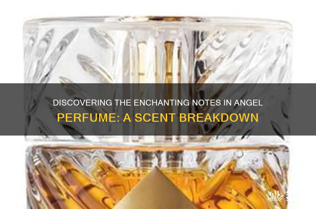 what are the notes in angel perfume