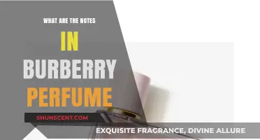 Discovering the Signature Notes in Burberry's Iconic Perfumes