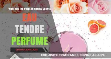 Chanel Chance Eau Tendre Notes: A Delicate Fragrance Breakdown